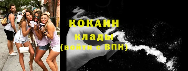 стафф Арсеньев
