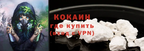 крисы Армянск