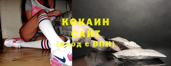 крисы Армянск