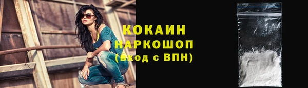стафф Арсеньев