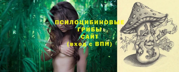 стафф Арсеньев