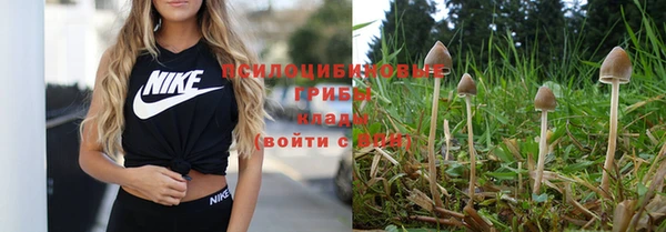 крисы Армянск