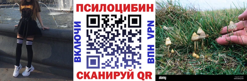Псилоцибиновые грибы Psilocybine cubensis  Усинск 